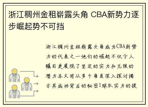 浙江稠州金租崭露头角 CBA新势力逐步崛起势不可挡